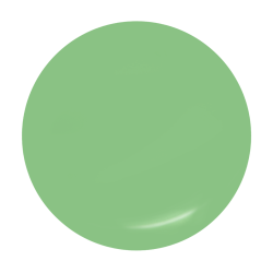 mint 5g