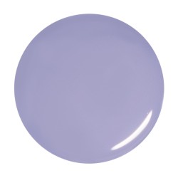 pro level builder gel clear 30g