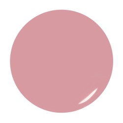 pro level builder gel makeup 30g